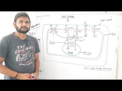 Salt stress Mechanism in plant cell|CSIR NET|
