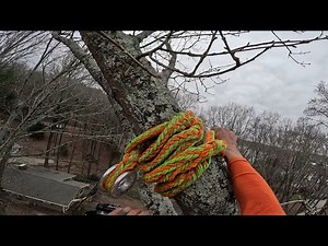 How to Rig Down a Tree Limb