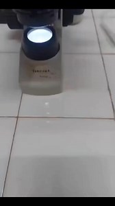 14K views · 175 reactions | Stool sample microscopy❣️❣️ | Lab life | Facebook