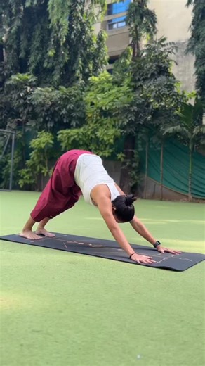 Mallika Jain on Instagram: "Try these four types of Dand. Start with 8–10 repetitions of each, or 2 slow sets, keeping the movement controlled and steady. Together, these four Dands work on arm strength, shoulder stability, and core engagement. Each variation challenges the body in a slightly different way, helping you build strength without overloading any one area. Simple, effective, and easy to include in your regular practice"