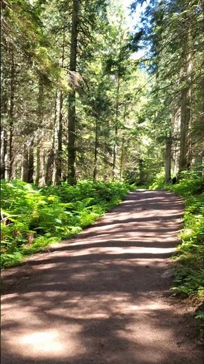 Hiking Kinney Lake Trail | Mount Robson Provincial Park