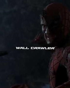 spiderman vs green goblin