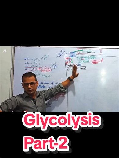 Glycolysis (Part-2) #insulin #step1 #glycolysis #foryoupage