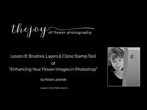 Using Brushes, Layers, and the Clone Stamp Tool in Photoshop