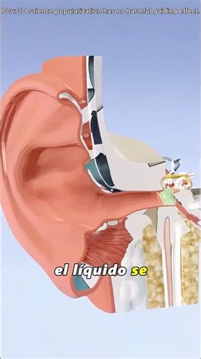 Ear Tube Placement (TympanostomyTubes) 3D Animation#ear #ears #tube #tympanostomy #entspecialists