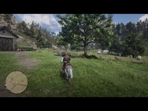 Red Dead Redemption 2 - How to Catch a Perfect Crow