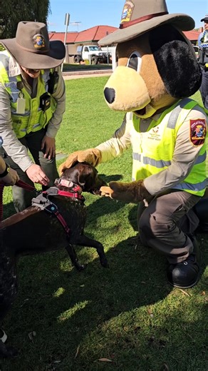 2.7K views · 15 reactions | Keeping our parks clean, one poop bag at a time... even if it costs a finger.  Don’t forget to leash your pup (unless you're in an off-leash area) and scoop that poop! Find your closest dog exercise area via our interactive map: https://www.canning.wa.gov.au/recreation-and-community/parks-and-reserves/dog-exercise-parks/ #SafeCanning #DogsofCanning #CityofCanning | City of Canning | Facebook