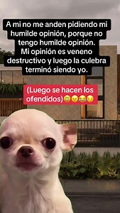 No me pidan opinión si no aguantan la verdad — chisme y humor