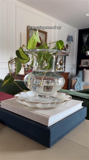 See my candle making tips in the description! #thriftedandstyled