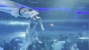 Watch the shocking moment a fish attacked a mermaid on camera
