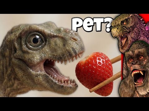 We Got a Pet T Rex