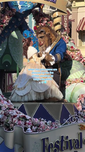 Winter Disney Princesses: Costumes and Magic at Magic Kingdom