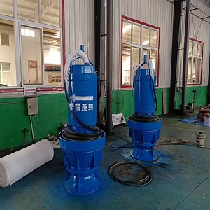 [Hot Item] Factory Price Submersible Axial Flow Pump That Continuously Works Under Water for a Long Time
