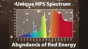 15 reactions · 7 comments | Heavy RED Spectrum, warm white light! The most unique grow lamp available! Ceramic HPS produces high quality yields and healthy vibrant plants. #hortiluxchps #growyourownway #madeinusa | EYE Hortilux | Facebook