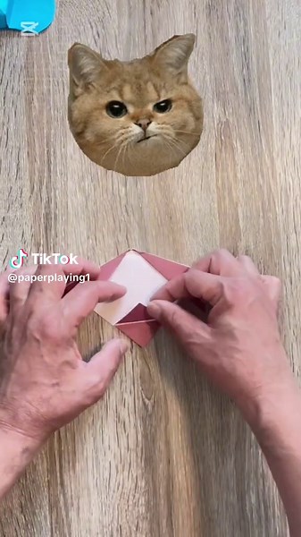 How to Create an Origami Paper Cat Face