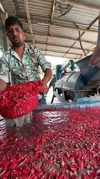 Plastic Recycling in Action – From Waste to Resource!