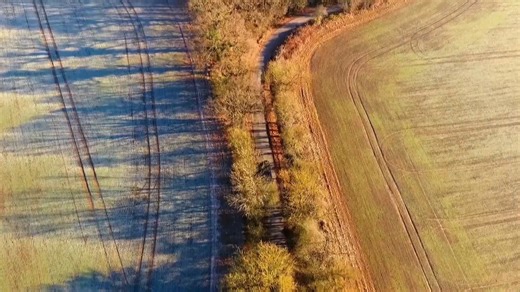 18K views · 493 reactions | Plus Size Performer Rocks Out With Her Frock Out! - Curvy Brides Boutique | Curvy Brides' Boutique - TLC | Facebook