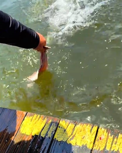 503K views · 390 reactions | Blink and you'll miss it  | Lessons Learned In Life | Facebook