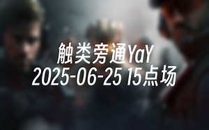 [录播] 触类旁通YaY 2025-06-25 15点场 大饼最野鸡的钻石PRO