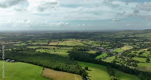 Rural landscape. Agricultural land, fields with cows in 4k