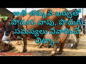 Low Cost Home Made Solution for Mastitis and Udder Problems | Dr. Madankumar Vet