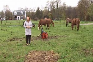 26K views · 118 reactions | On this week's Something's Brewing, Courtney Zieller WFSB heads to Granby where Maple View Farm has joined the brewery scene! They have beer and furry friends! | WFSB - Channel 3 Eyewitness News | Facebook