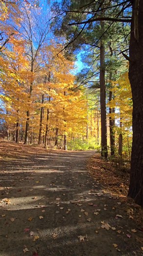 Mt Tom Holyoke, mass 🍂🍁 | Juan Santana