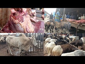 CHEAPEST MEAT MARKET |AFRICA'S BIGGEST MEAT FACTORY | AGEGE ABATTOIR | LAGOS NIGERIA: ILEYA RAM 2025