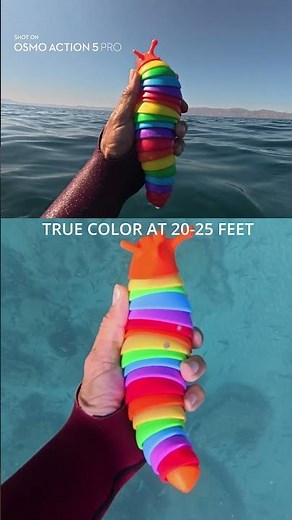 Underwater color test at 50ft/15m using waterproof camera 🌈DJI Osmo Action 5 Pro 🎬 ‪@roamtobewild7801‬