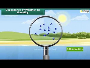 Another Mystery - Humidity | A Journey Through States of Water | Science | Class 6 | iPrep