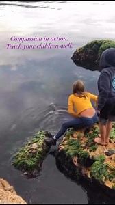 There was a quiet understanding in the shark’s eyes—she knew she was being saved. 🦈💜 Teaching our children empathy is the highest form of love. #teach #parents #children #empathy #compassion #animalrescue #animallovers #veganfortheanimals #vegangreenplanet | Vegan Green Planet