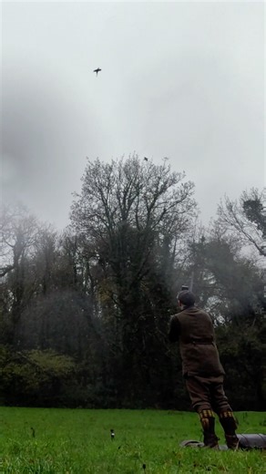 Sometimes it’s just nice to watch 👌