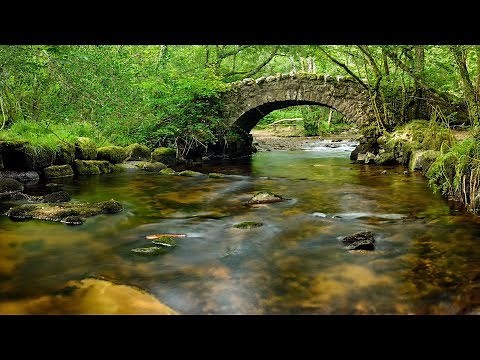 Calm Piano Music, Soothing Music for Studying, Relaxing Flute Music "Summer Memories" by Tim Janis