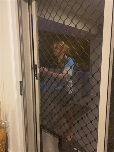 Dominating Domino's: Tips and Tricks