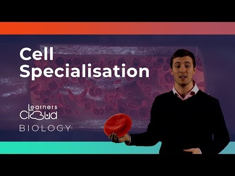 Cell specialisation