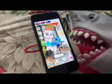 Shark puppet plays talking Angela!