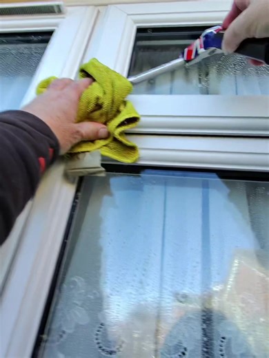 Daily Window Cleaning Satisfaction Experience