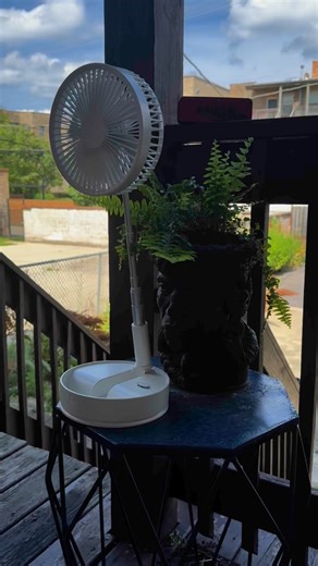 Chicago’s back porches are ICONIC!😇 There’s nothing else like ‘em!🥰 | Angie Ford