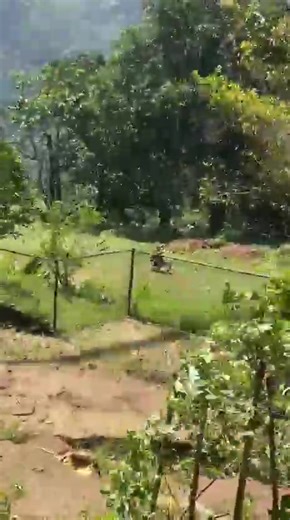 India in Sri Lanka (High Commission of India, Colombo) on Reels