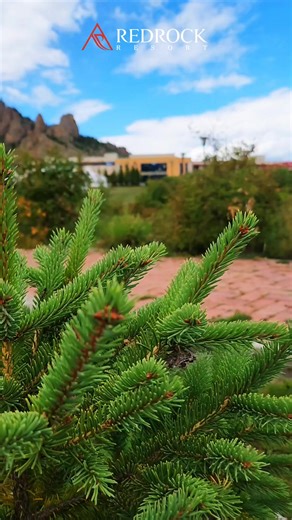 ✨️Where exclusivity meets nature. 🍽Signature dining 🏡Private space/gers & houses/ 🌌Star Dome /panoramic skyview experience/ 🎾Tennis & leisure facilities Discover the art of refined escape. 📍Red Rock Resort, Gorkhi-Terelj National park Reservations: ☎️ (976) 7700-0111 📧info.redrock@rrc.mn | Red Rock Resort, Mongolia