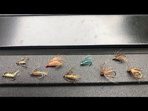 Fly Fishing/Nymphing PENNS CREEK, “SOFTHACKLES”, Early Fall