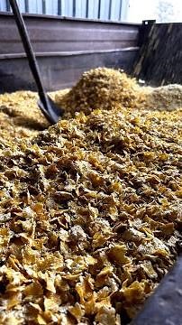 Turnkey Flake Feed Mill Plants | Flaking Mill Facilities | Flake Feed Production Lines | Flaker Mill