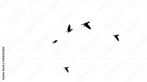 Birds flying against blue sky environment or ecology concept Loop Background Animation. Large Flock of Birds. A flock of birds against the sky. Gradually increasing the number of birds.