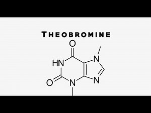 Pharmacology of Theobromine ; Pharmacokinetics, Mechanism of action, Uses, Effects