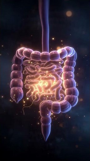 Hydration Balance Explained 💧 | How Water Affects Your Body 3D Animation