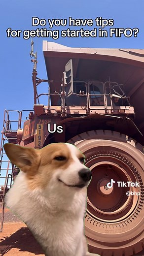 We have lots of tips to share with you on starting a career in mining. We also have all of our current roles on the Careers section of our website BHP.com. Have a look! #whynotyou #mining #mininglife #FIFO #fifolife #miningjobs #careeradvice #miningtips #meme #fifotips