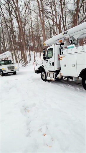 Downed Lines, Stuck Truck, Teamwork Saves the Day #blizzard #powerlines #emergency