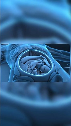 laparotomy incision #medical #animation #health #biology