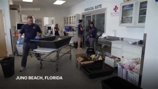 US FL Sea Turtle Tracking (CR) | Haystack News