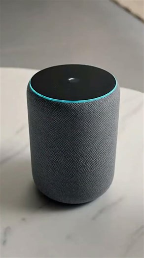 My Cockatoo Calls Alexa… And Starts Dancing 💃🐦